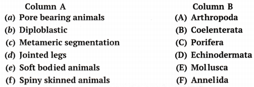 Diversity in Living Organisms Class 9 Extra Questions Science Chapter 7 9