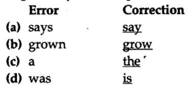 Editing Exercises for Class 10 CBSE with Answers 5