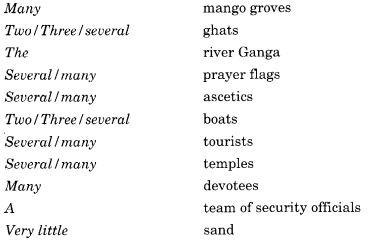 English Workbook Class 10 Solutions Unit 1 Determiners 10
