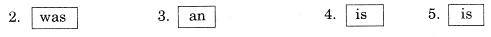 English-Workbook-Class-9-Solutions-Integrated-Grammar-Practice-5-Q4