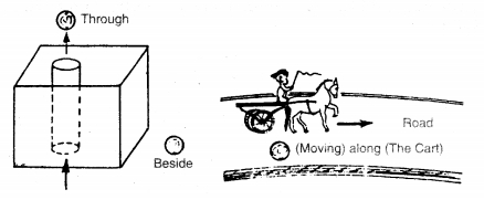English Workbook Class 9 Solutions Unit 8 Prepositions Q5.1