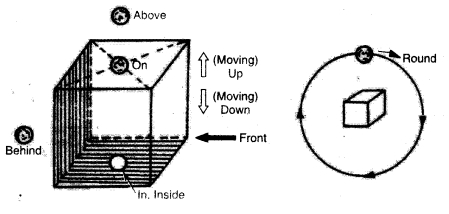 English Workbook Class 9 Solutions Unit 8 Prepositions Q5