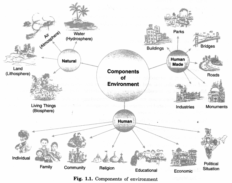 Environment-Class-7-Extra-Questions-Geography-Chapter-1-3