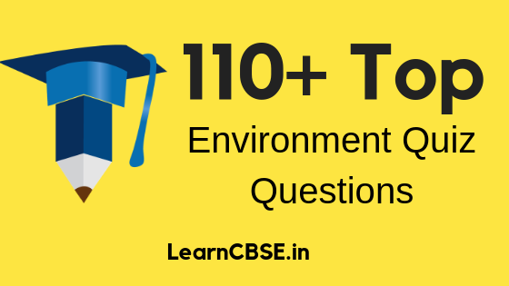 Environment-Quiz