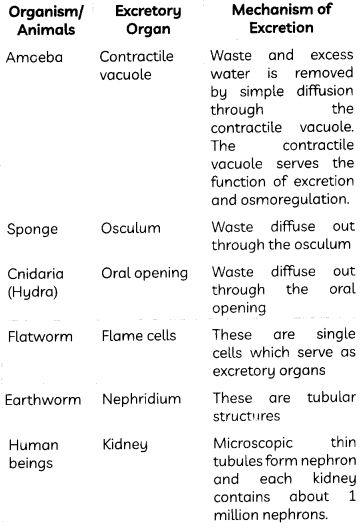 Excretion-1