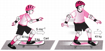 Force and Laws of Motion Class 9 Extra Questions Science Chapter 9 11
