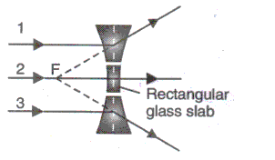 Frank ICSE Class 10 Physics Solutions Light 12