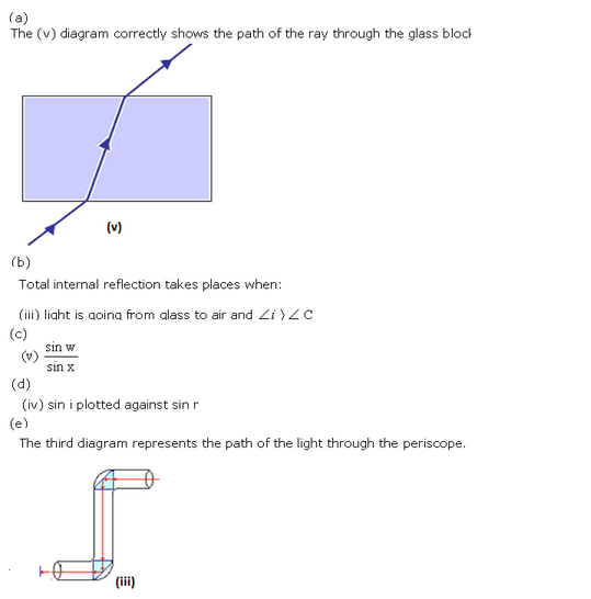 Frank ICSE Class 10 Physics Solutions Light 36