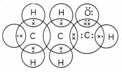 Functional Groups 3