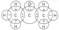 Functional Groups 4