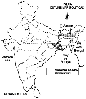 Geography-Class-12-Important-Questions-Chapter-15-Land-Resources-and-Agriculture-1
