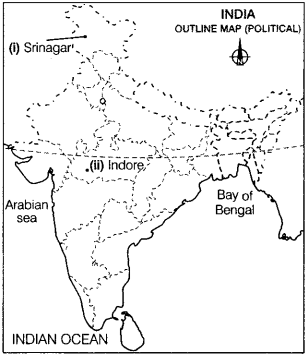 Geography Class 12 Important Questions Chapter 18 Manufacturing Industries 6
