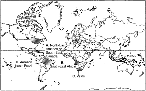 Geography Class 12 Important Questions Chapter 5 Primary Activities 2