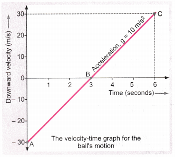 Gravitation Class 9 Extra Questions Science Chapter 10 11