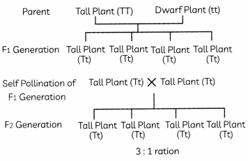 Heredity 2