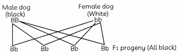 Heredity 3