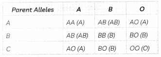 Heredity 5