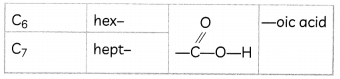 Homologous Series 2