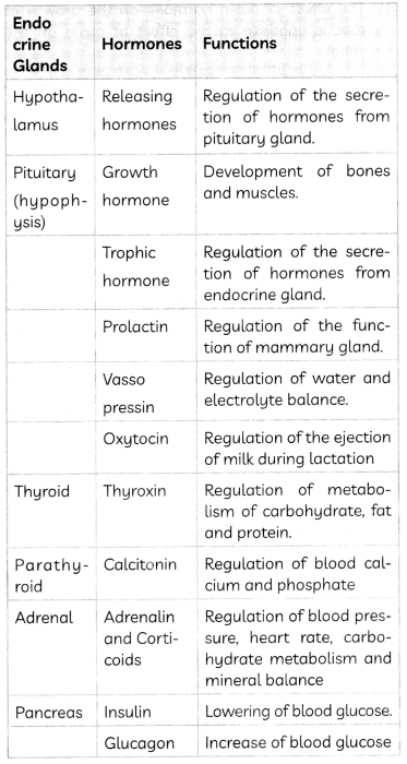 Hormones-in-Animals-1