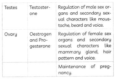 Hormones in Animals 2