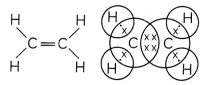 Hydrocarbons 4