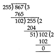 Important Questions for Class 10 Maths Chapter 1 Real Numbers 10