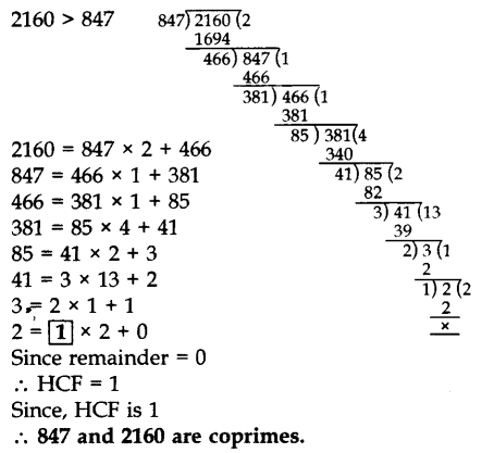 Important Questions for Class 10 Maths Chapter 1 Real Numbers 11