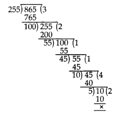 Important Questions for Class 10 Maths Chapter 1 Real Numbers 3
