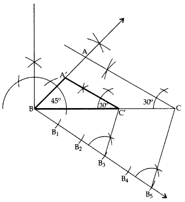 Important Questions for Class 10 Maths Chapter 11 Constructions 15