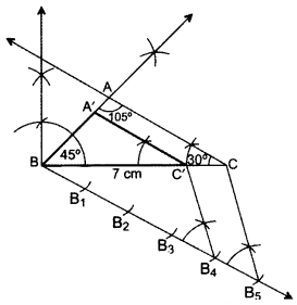 Important Questions for Class 10 Maths Chapter 11 Constructions 24