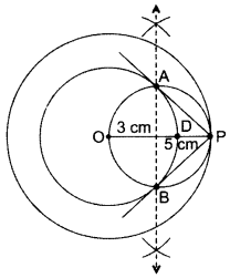Important Questions for Class 10 Maths Chapter 11 Constructions 27