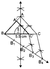 Important Questions for Class 10 Maths Chapter 11 Constructions 29