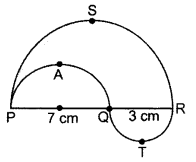 Important Questions for Class 10 Maths Chapter 12 Areas Related to Circles 21