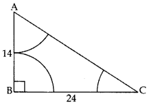 Important Questions for Class 10 Maths Chapter 12 Areas Related to Circles 23