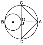 Important Questions for Class 10 Maths Chapter 12 Areas Related to Circles 41