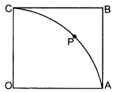 Important Questions for Class 10 Maths Chapter 12 Areas Related to Circles 49