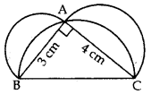 Important Questions for Class 10 Maths Chapter 12 Areas Related to Circles 71