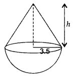 Important Questions for Class 10 Maths Chapter 13 Surface Areas and Volumes 11
