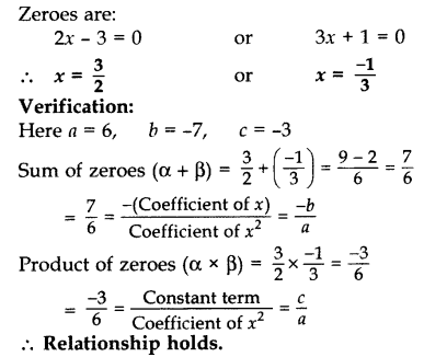 Important Questions for Class 10 Maths Chapter 2 Polynomials 13