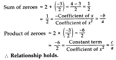 Important Questions for Class 10 Maths Chapter 2 Polynomials 8
