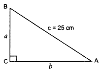Important Questions for Class 10 Maths Chapter 4 Quadratic Equations 34