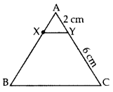 Important Questions for Class 10 Maths Chapter 6 Triangles 17