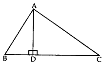 Important Questions for Class 10 Maths Chapter 6 Triangles 51