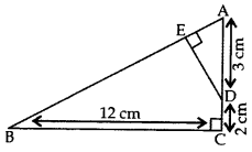 Important Questions for Class 10 Maths Chapter 6 Triangles 53