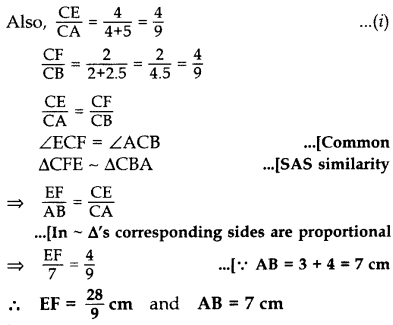 Important Questions for Class 10 Maths Chapter 6 Triangles 68