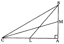 Important Questions for Class 10 Maths Chapter 6 Triangles 74