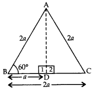 Important Questions for Class 10 Maths Chapter 8 Introduction to Trigonometry 44