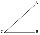 Important Questions for Class 10 Maths Chapter 9 Some Applications of Trigonometry 2