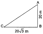 Important Questions for Class 10 Maths Chapter 9 Some Applications of Trigonometry 3