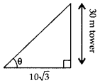 Important Questions for Class 10 Maths Chapter 9 Some Applications of Trigonometry 7